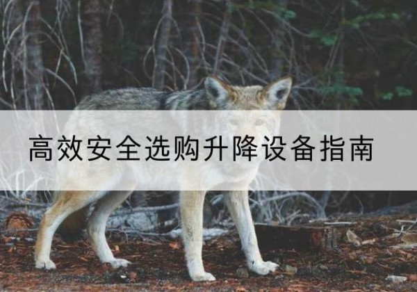 霍城升降货梯厂家推荐-*安全选购升降设备指南