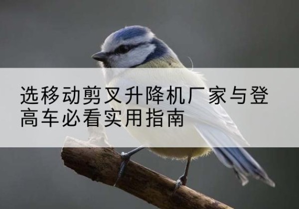 霍城电动升降机厂家-选移动剪叉升降机厂家与登高车必看实用指南