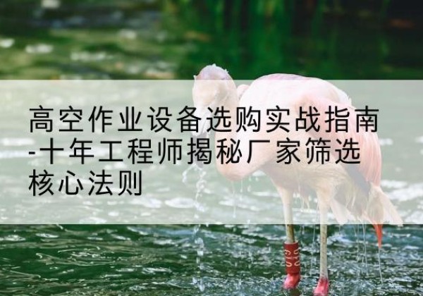 霍城剪叉式升降机厂家-高空作业设备选购实战指南-十年工程师揭秘厂家筛选核心法则