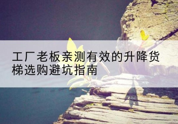 霍城升降货梯怎么选-工厂老板亲测有效的升降货梯选购避坑指南
